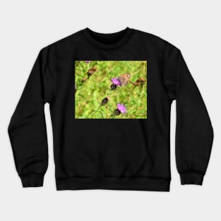 Ringlet Butterfly Crewneck Sweatshirt